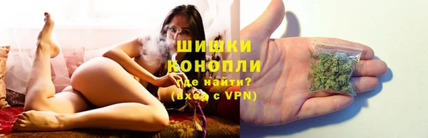 дживик Инсар