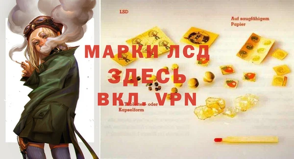 дживик Инсар